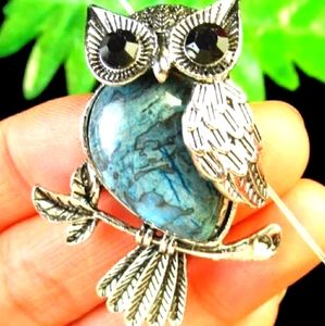 🦉Blue Crazy Lace💙Agate Owl Necklace🦉